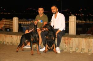 Dobermanlar: Ahmet Aydın'ın Gözünden Sadık Dostları